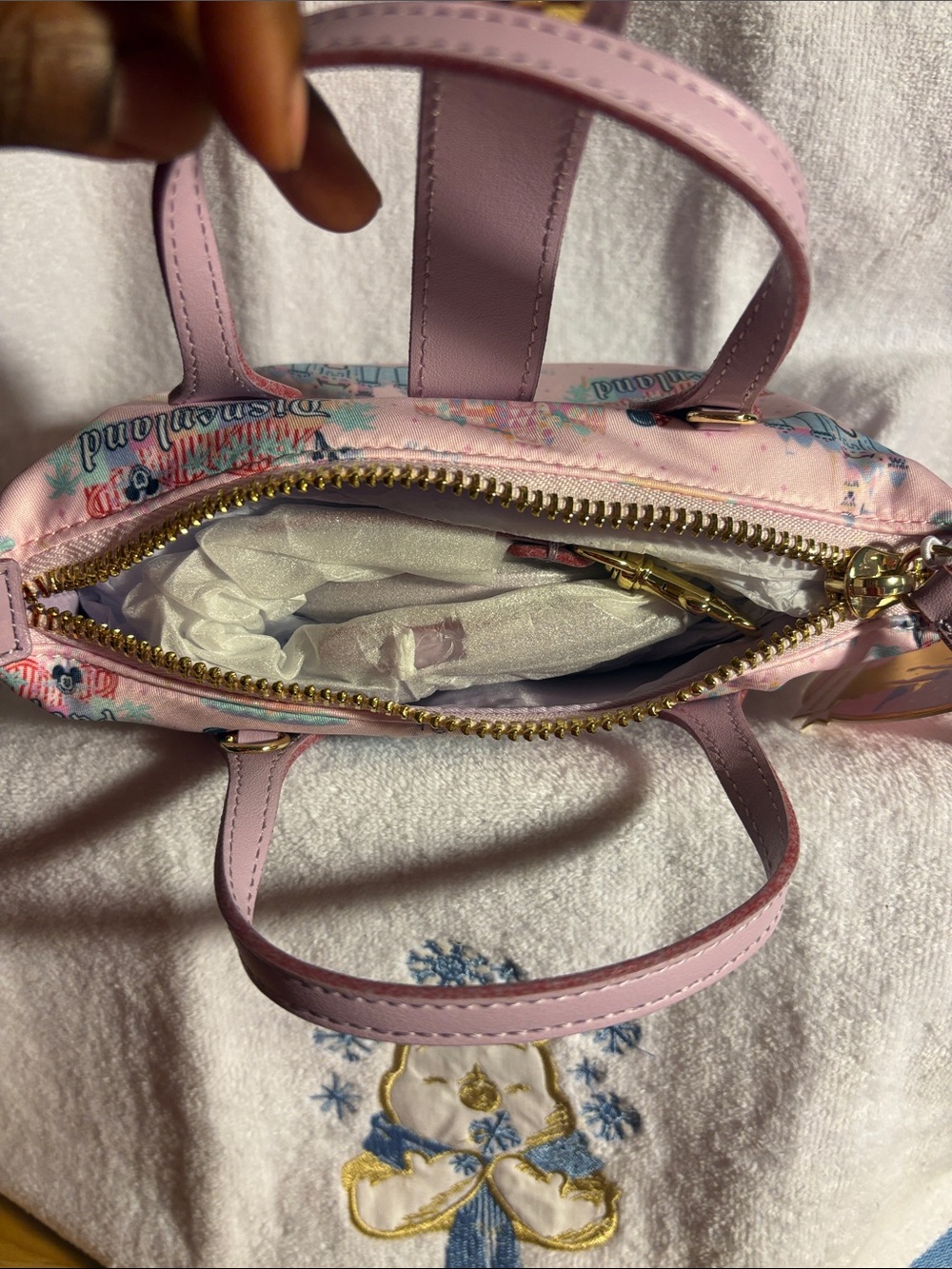 HTF Disney Parks x Stoney Clover Lane Disneyland Pouchette Crossbody Bag - Picture 5 of 5